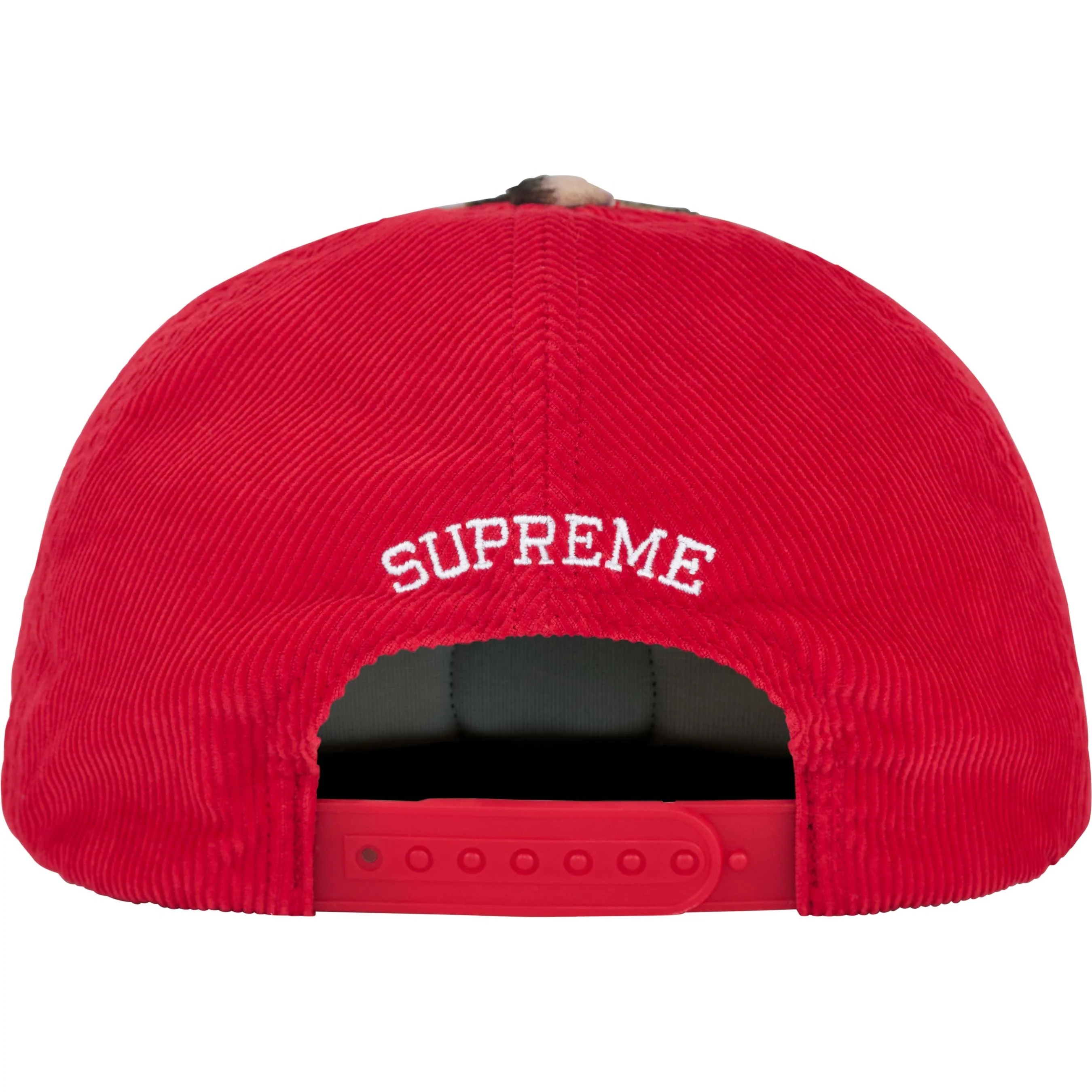 Tiger 5-Panel view 3